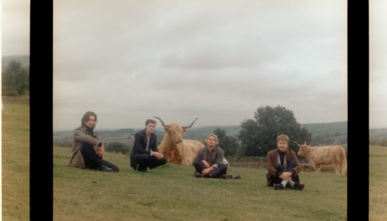 Les artistes posent dans un champ assis devant des vaches allongées à grandes cornes. Le traitement est retro, l'ambiance est bucolique et décalée.